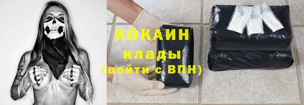 индика Белоозёрский