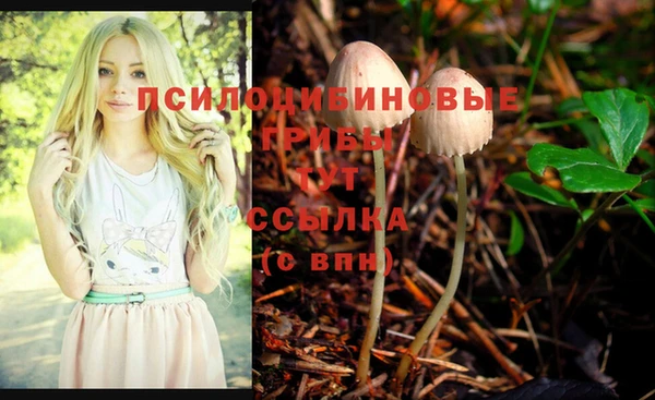 индика Белоозёрский