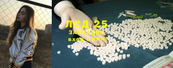 индика Белоозёрский