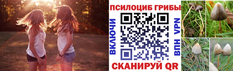 Псилоцибиновые грибы MAGIC MUSHROOMS  hydra ссылка  Верхний Тагил  наркошоп 