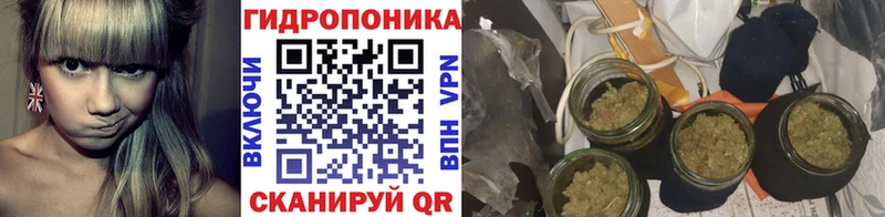 где найти наркотики  Верхний Тагил  omg как войти  Шишки марихуана ГИДРОПОН 
